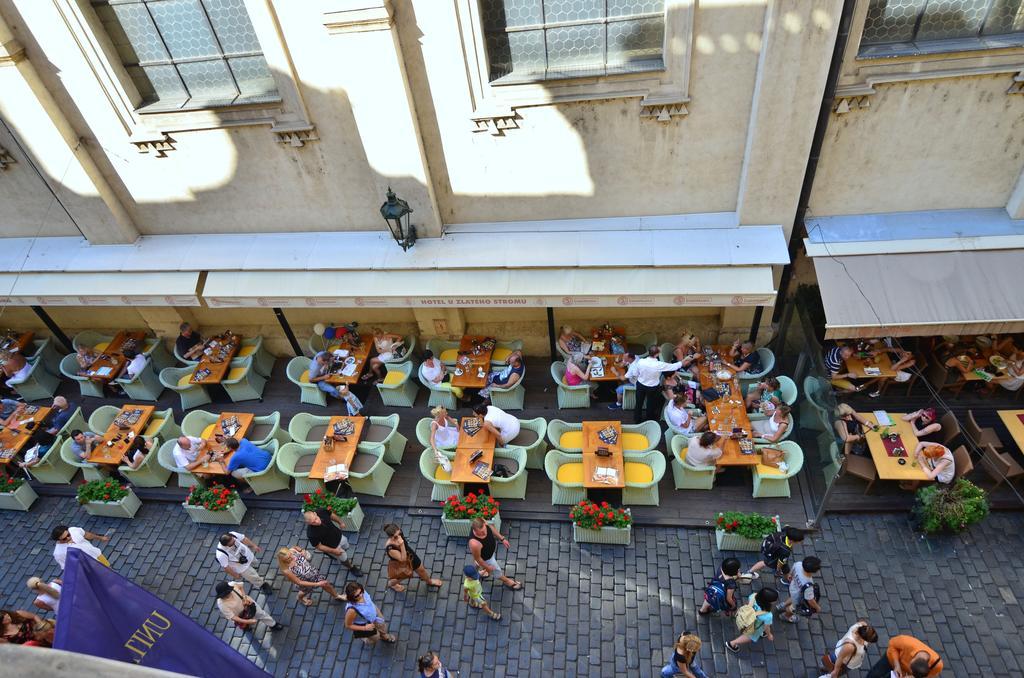 Pension Karlova Prag Zimmer foto
